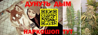 дживик Боровичи