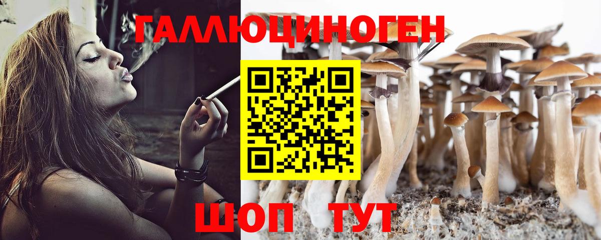 цены наркотик  Псилоцибиновые грибы Psilocybe  Вход с VPN  Зеленогорск 